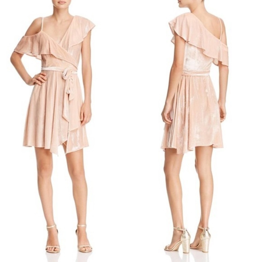 WAYF Velvet Dress
